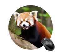 Petit panda rouge - Tapis de souris rond avec base en caoutchouc antidérapant et imperméable - Pour ordinateur portable, bureau, maison - 20 x 20 cm
