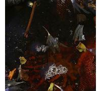 Petit, Phillipe -& Friends- - on Top [Import]