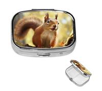 Petit pilulier à 2 compartiments, pilulier amusant en forme d'écureuil portable en métal pour poche, sac à main, boîte à pilules de voyage avec miroir carré, support de médicaments et vitamines
