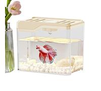 Petit Poisson Clair - Aquarium De Bureau Calme pour Travail, Réservoir De Poisson Robuste Léger | Le décor De La Chambre Est Équipé De Lumières LED Colorées pour Les Collègues D'Amic
