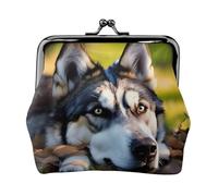 Petit portefeuille pour femme avec motif chien husky, porte-monnaie pour femme, petit portefeuille pour femme, avec fermeture éclair et verrou de baiser, noir, One Size, Art déco