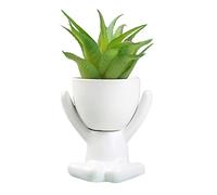 Petit Pot de Plantes Succulentes Créatif en Céramique Blanche - Forme D'humain pour Fleurs