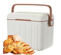 Petit réfrigérateur - Boîte de rangement de glace compacte | Refroidisseur portable de 6 l avec 6 packs de glace réutilisables, mini réfrigérateur pour sports de plein air, camping, randonnée pédestre