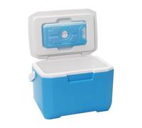 Petit refroidisseur à glace, petite glacière rigide, grande capacité, récipient isotherme avec boîte de réfrigérateur extérieure avec isolation froide durable pour le sport et les voyages