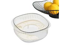 Petit réservoir pour tortues - Terrarium ABS de 25,4 cm | Habitat aquatique ABS - Réservoir multifonction transparent pour bernard-l'ermite, crevettes, poissons, amphibiens et tortues offrant une