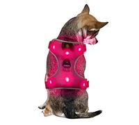 Petit Rose Harnais pour Chien USB Rechargeable LED Lumineux Réglable - Gilet Fluo Fluorescent Accessoire de Sécurité pour Chiot