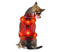 Petit Rouge Harnais pour Chien avec USB Rechargeable LED Harnais Lumineux Harnais Chiot Reglable Gilet Fluo pour Chien Accessoire pour Chien Harnais Chien Fluorescent Securite Arnet pour Chien