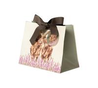 Petit sac cadeau Gentle Giants