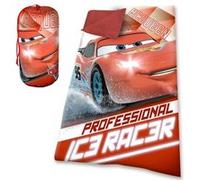 Petit sac de couchage Cars Multicolore G