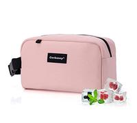 Petit sac isotherme pour le travail, l'école, les voyages, petit sac à déjeuner, petit sac isotherme pour enfants/adultes, sac à déjeuner congélateur, sac à goûter congelable, mini sac à déjeuner pour