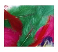 Petit sachet 20 plumes de 7cm colorees