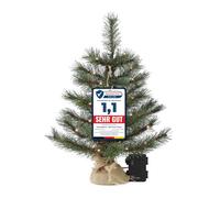 Petit Sapin de Noël Artificiel Lumineux 45 cm 35 LED à Piles
