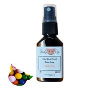 Petit spray parfumé fait à la main pour voiture et maison - Parfum puissant et durable - Cadeau (chewing-gum)