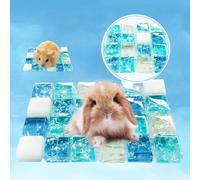 Petit Tapis De Refroidissement Pour Animaux De Compagnie Tapis De Couchage D'ete Tapis De Refroidissement Pour Animaux De Compagnie En Plastique Pour Chinchilla/Hamster/Cochons D'inde