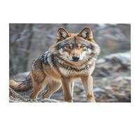 Petit tapis lavable avec envers en caoutchouc antidérapant pour cuisine, chambre à coucher, salle de bain, décoration de sol Motif loup