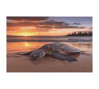 Petit tapis lavable avec envers en caoutchouc antidérapant pour cuisine, chambre à coucher, salle de bain, motif tortue de mer, coucher de soleil