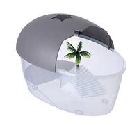 Petit Terrarium Habitat Clair Équipé d'arbres de l'île Basking
