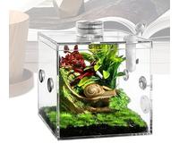 Petit terrarium pour reptiles, habitat en verre acrylique, boîte d'élevage de reptiles - Pour une utilisation à la maison, à l'intérieur et aussi dans le salon : escargots, lézards, mantes religieuses