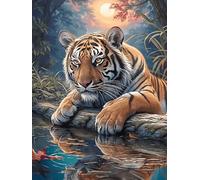 Petit tigre dans une forêt magique 1000 Pièces Puzzle Famille En Carton Sans Déformation Animal sauvage et animal de compagnie Difficulté Moyenne Activité Familiale Anti-Stress Jeu De Société Soirée E