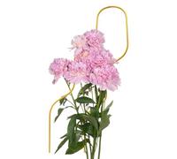 Petit Treillis pour en Pot | Support de Support pour légumes | 46 cm Porte-légumes Serre Pots surélevés Vignoble Balcon Terrasse Jardin