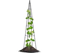 Petit Tuteur pour plantes en pot, structure support pour plantes en pot | Structure de support pour fleurs légumes et jardin intérieur extérieur