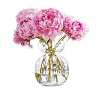 Petit vase en verre pour fleur Innjoii jacinthe bulb avocat vase transparent décoration de table pièce centrale vase en vrac pour la culture mini plante créative mignonne pour mariage, maison, salon