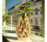 Petit Vase Tube en Verre | Unique Terrarium | Fait à la Main, Bois Flotté| Décroration de Maison | Plante en Eau | Biscay Home