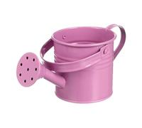 Petite boîte d'arrosage, mini canette pour en métal, petit arrosage de fleurs, petite boîte intérieure, boîte de fleurs pour , boîte de jardin décoratif pour fleurs
