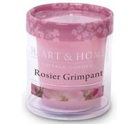 Petite bougie heart and home rosier grimpant Multicolore G