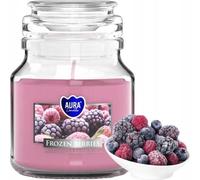PETITE bougie parfumée en pot BISPOL Aura 28H Frozen Berries