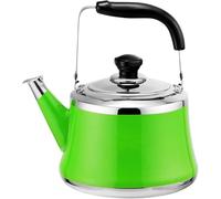 Petite Bouilloire avec infuseur, théière en Acier Inoxydable de qualité Alimentaire pour Plaque de Cuisson à gaz, Bouilloire à Induction avec sifflet (9,2 L)