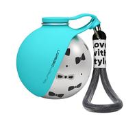 Petite Bouteille d'eau pour Chien, Bouilloire de Voyage en Acier Inoxydable à L'épreuve de Fuites de 10 Oz avec Bol en Silicone Pliable, Distributeur d'eau pour Animaux, Abreuvoir pour Animaux (Bleu)