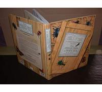 Petite collection d'insectes de nos régions