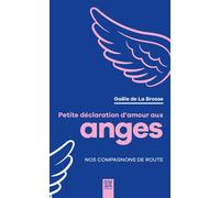 Petite déclaration d'amour aux anges Nos compagnons de route - Gaële De La Brosse - Suzac - broché - Essai