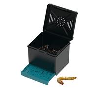 Petite Enceinte de Reptile, boîte de Reproduction de Mantis, Habitat du Reptile ventilé, 4,02x3,54x3,54 Pouces Mantises compactes Mantises, idéales pour Les grillons, Les coléoptères, cafards,