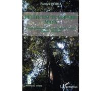 Petite encyclopédie Maya L'environnement des Lacandons de Lacanja - (Chiapas, Mexique) - Patrick Perez - L'harmattan - broché - Dictionnaire et encyclopédie