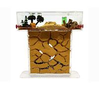 Petite fourmilière T- en sable naturel (acrylique) - avec fourmis incluses - de 20 à 30 fourmis.