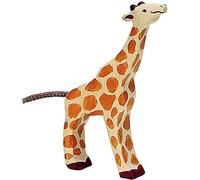 Petite girafe, mangeant