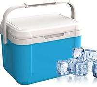 Petite glacière, glacière Rigide, glacière isolée Portable pour la fête, Le Camping, Le Sable de Plage et Les activités de Plein air(Blue)