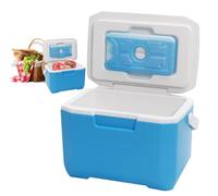 Petite glacière rigide | Glacière de pique-nique rigide de grande capacité | Boîte isotherme d'extérieur avec poignée d'isolation froide durable pour camping, plage, bateau