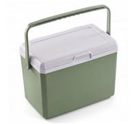 Petite glacière Rigide, glacières et glacières de 3 L avec 6 Sacs de Glace et poignée, glacière pour Pique-niques en Camping en Plein air - Vert, Boisson
