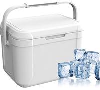Petite Glacière Rigide Isolée Portable pour Fête, Camping, Plage et Plein Air (White)