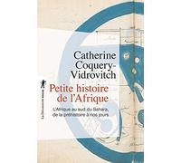 Petite histoire de l'Afrique: L'Afrique au sud du Sahara, de la préhistoire à nos jours