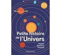 Petite histoire de l'Univers: Histoire, structure, théories
