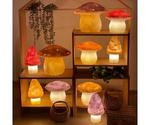 Petite lampe veilleuse champignon Chocolat