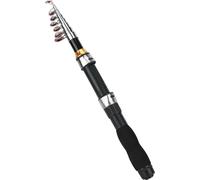 Petite perche de mer portable bâton de pêche sur glace court mini-outil 28049-100 (1,7 m)