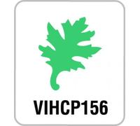 Petite Perfo 5/8 Feuil.Chene