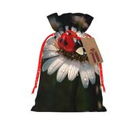 Petite pochette avec cordon de serrage imprimé coccinelle pour cadeaux, sac cadeau réutilisable, pour les vacances et les cadeaux de fête