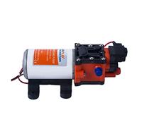 Petite pompe submersible réglable Pompe à membrane série 22 12 V 24 CC 1,3 GPM 100 PSI(24V)