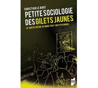 Petite sociologie des Gilets jaunes: La contestation en mode post-institutionnel
